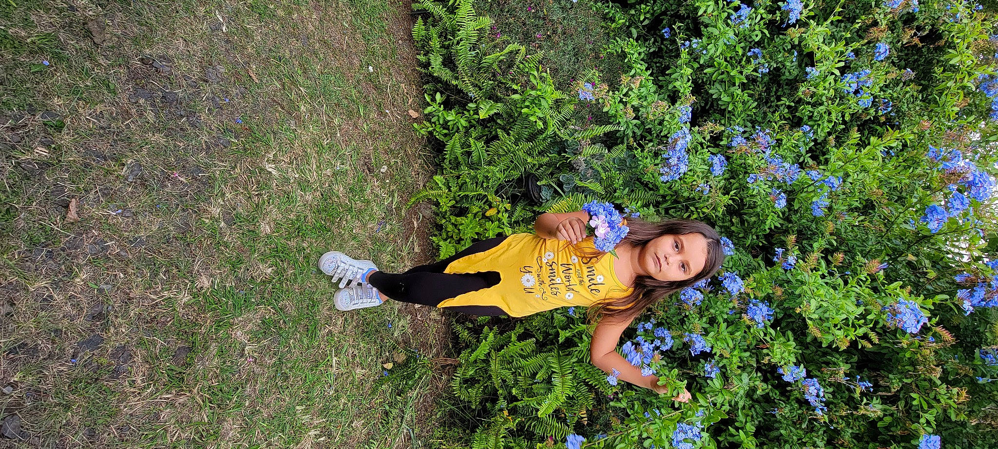 Lovely is registered to the contest to win money with this photo: annual_plant, electric_blue, flower, flowering_plant, fun, garden, grass, grass_family, grassland, groundcover, happy, leisure, meadow, people_in_nature, person, plant, recreation, shrub, smile, toddler