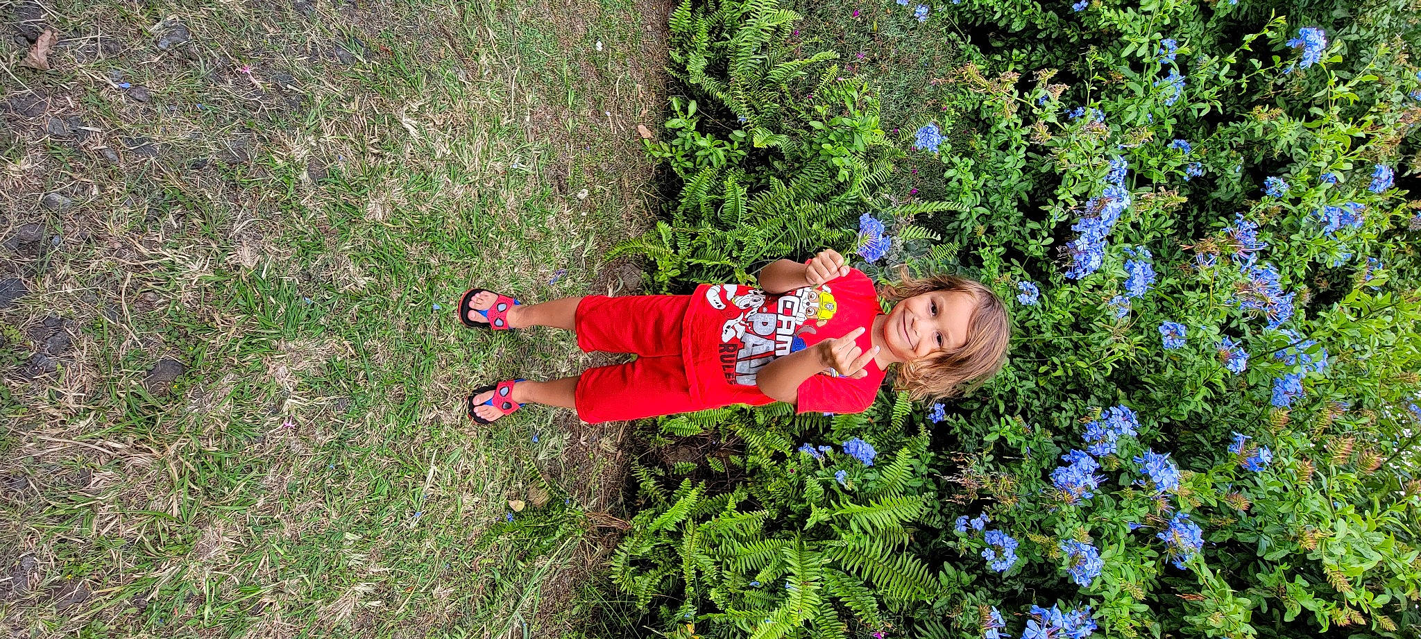 Williama joined the competition — help win amazing prizes! annual_plant, baby_toddler_clothing, electric_blue, evergreen, flower, flowering_plant, grass, grassland, groundcover, happy, herbaceous_plant, joy, leisure, people_in_nature, person, plant, shrub, smile, t_shirt, toddler