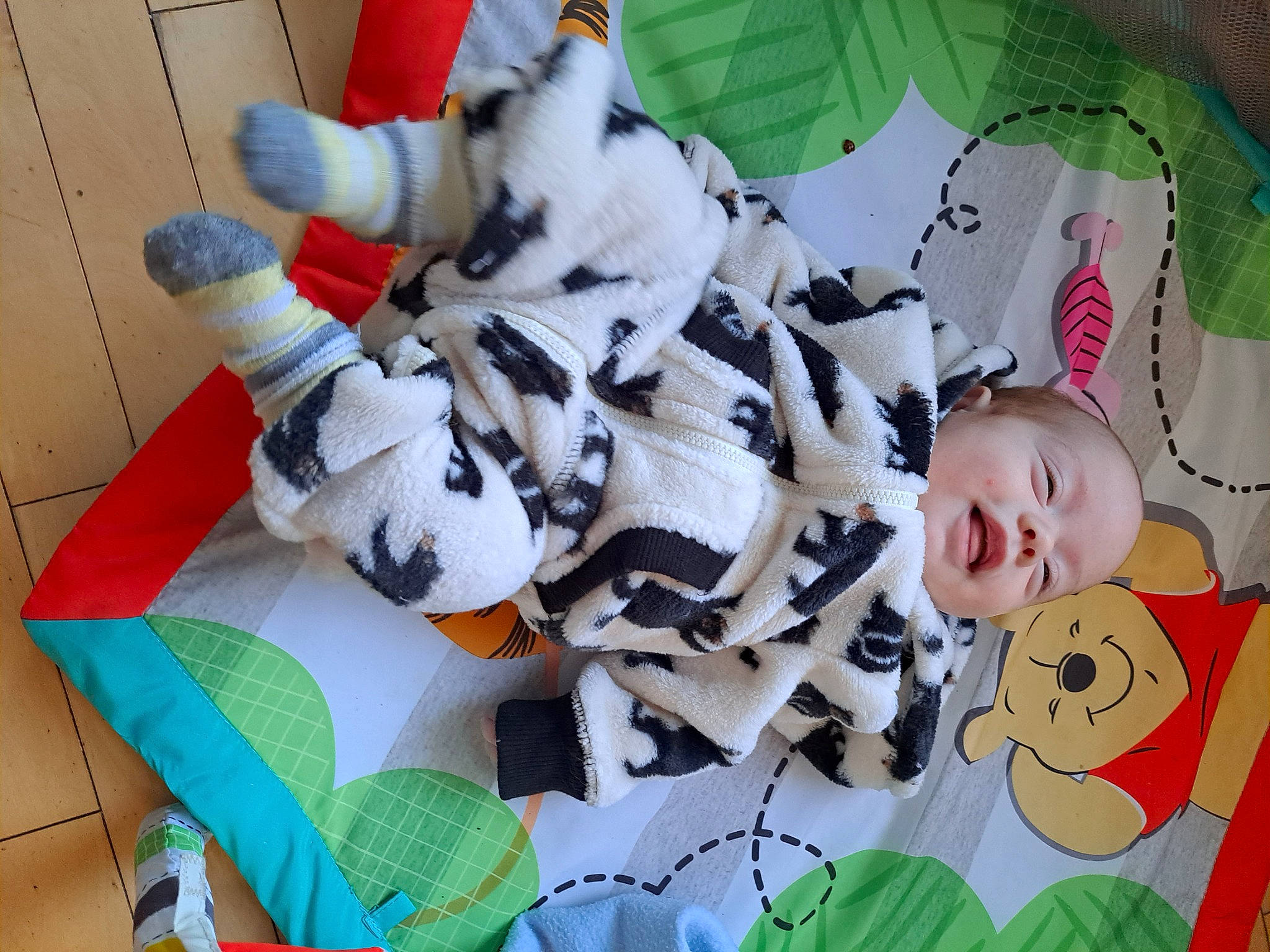 Evanah a rejoint le concours — aidez-le/la à gagner de superbes lots ! baby, baby_products, baby_toddler_clothing, baby_toys, carmine, child, fictional_character, green, happy, linens, pattern, person, plant, plush, room, stuffed_toy, tail, textile, toddler, toy