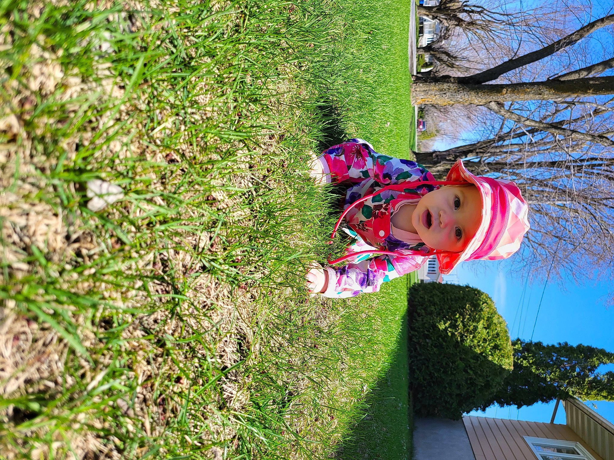 Evanah participe au concours pour gagner de l'argent avec cette photo : botany, carmine, fun, garden, grass, groundcover, happy, headwear, landscape, leaf, leisure, magenta, people_in_nature, person, plant, recreation, shrub, sky, spring, toddler