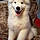Athos