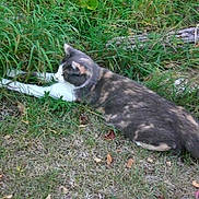 Mirabelle participe au concours pour gagner de l'argent avec cette photo :