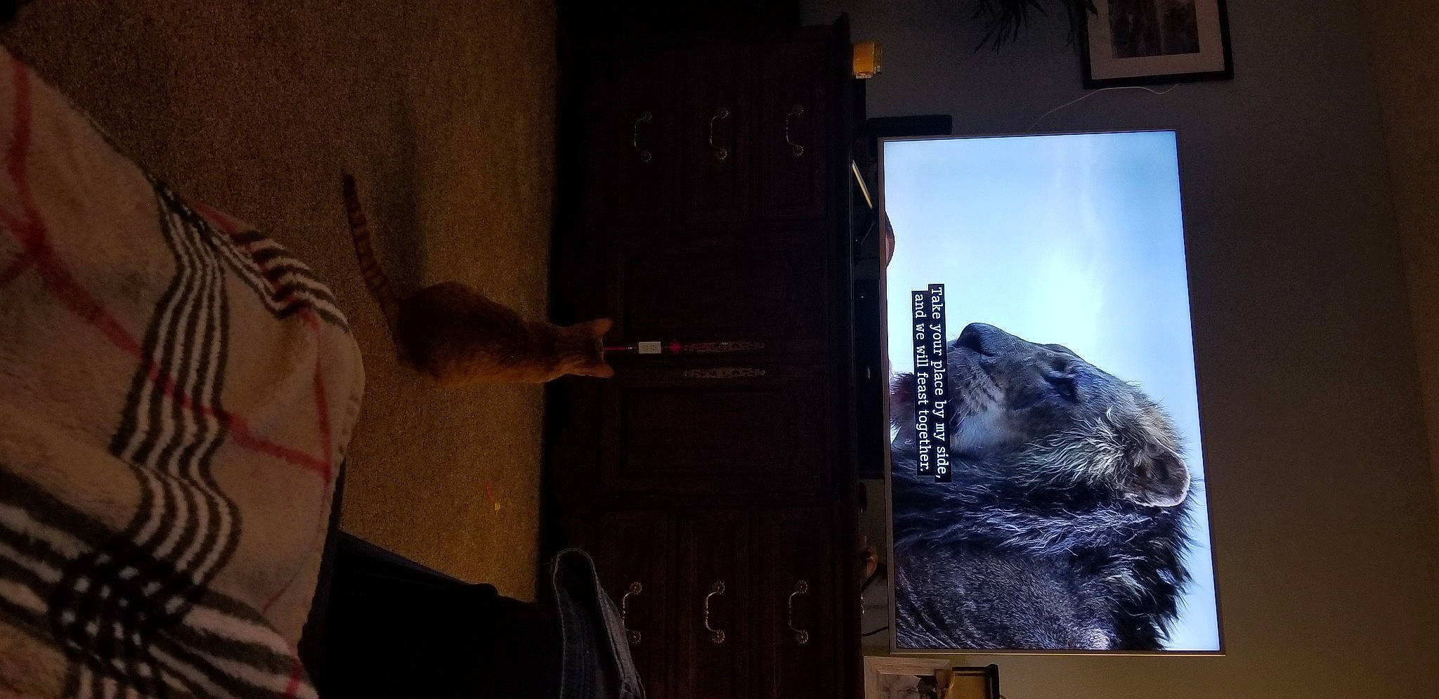 Mimi is registered to the contest to win money with this photo: art, darkness, fur, illustration, room, visual_arts