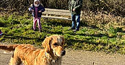 Una a rejoint le concours — aidez-le/la à gagner de superbes lots ! bench, blue_sky, child, dog, forest, golden_retriever, grass, hat, jacket, nature, outdoor, path, person, recreation, shadow, smiling, standing, sunny, trees, winter_clothing