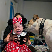 Naomi joined the competition — help win amazing prizes! baby, child, dog, pet, person, smiling, happy, indoor, costume, minnie_mouse, polka_dots, red, black, white, bow, collar, bed, blanket, hand, lick