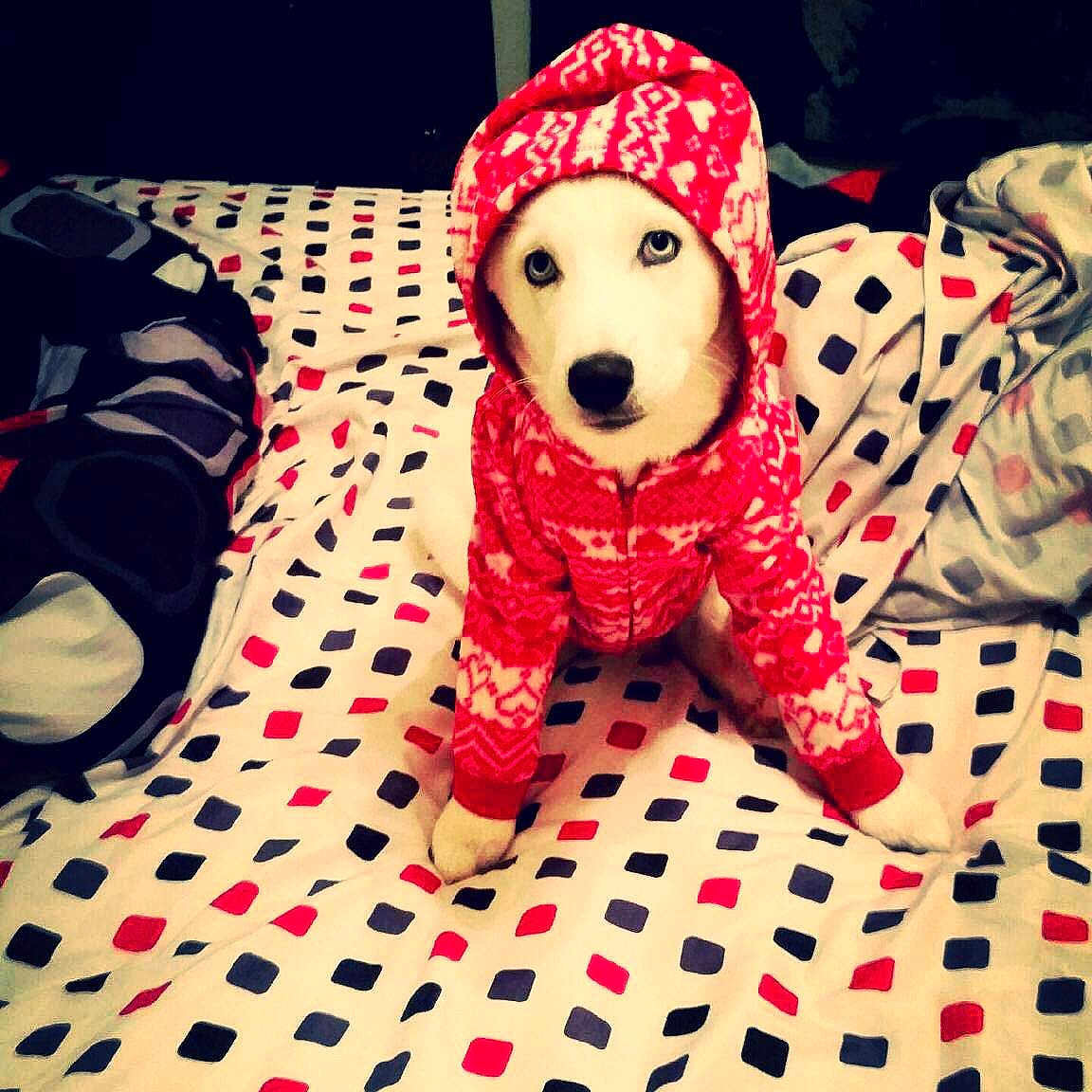 Shane is registered to the contest to win money with this photo: