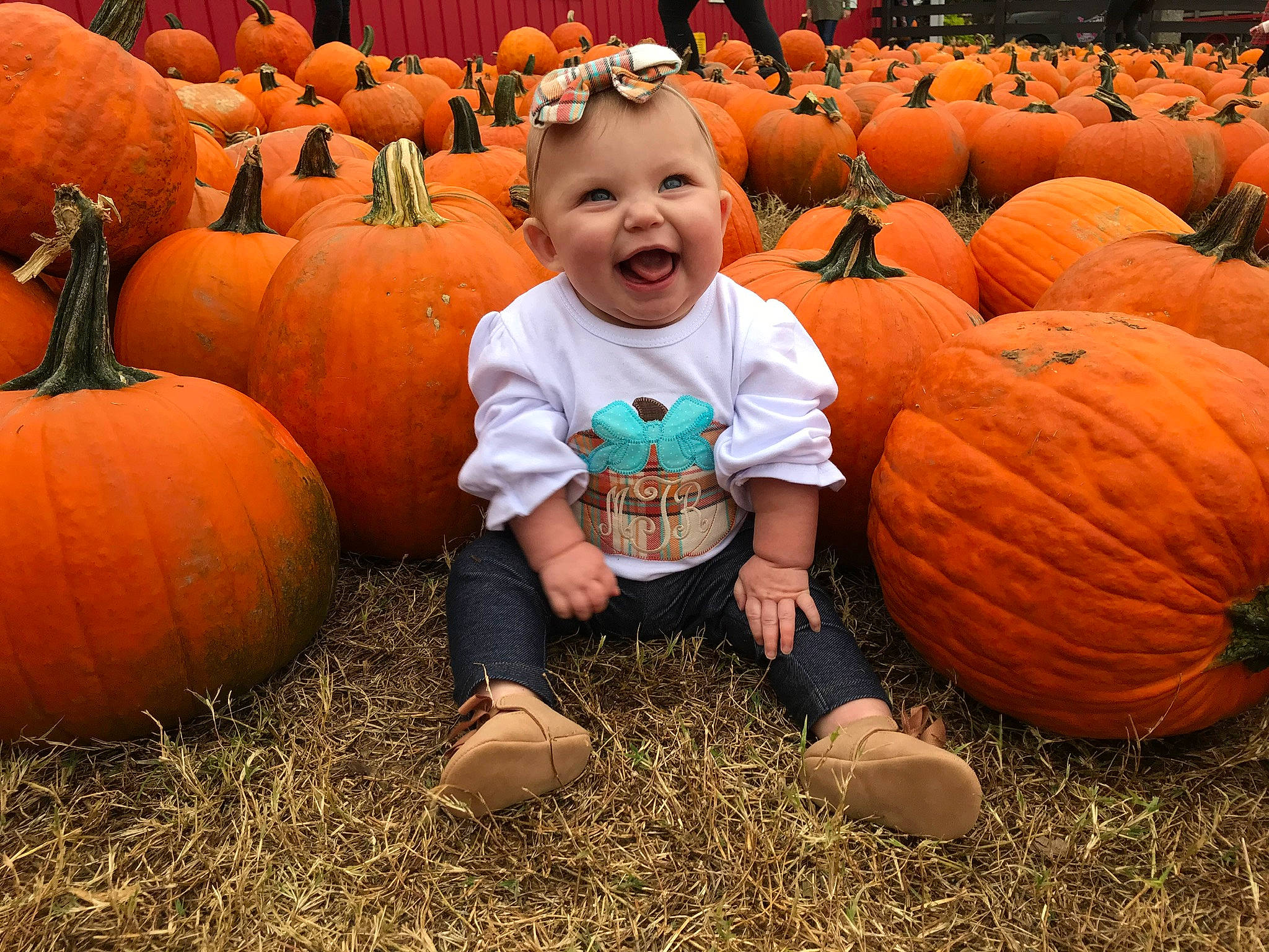 Mckinley is registered to the contest to win money with this photo: _and_melon_family, _gourd, calabaza, child, cucumber, cucurbita, food, fruit, gourd, local_food, natural_foods, orange, person, plant, produce, pumpkin, smile, squash, vegetable, whole_food