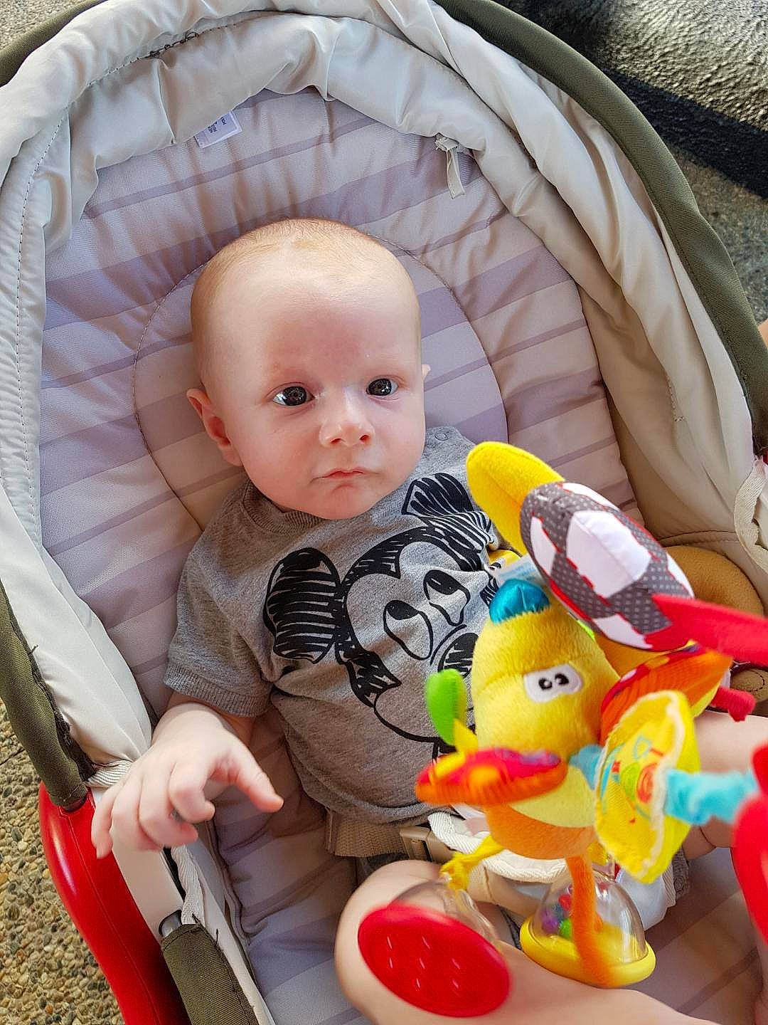 Gino participe au concours pour gagner de l'argent avec cette photo : baby, baby_carriage, baby_products, baby_toys, cheek, child, doll, eye, head, iris, person, play, product, sitting, skin, toddler, toy