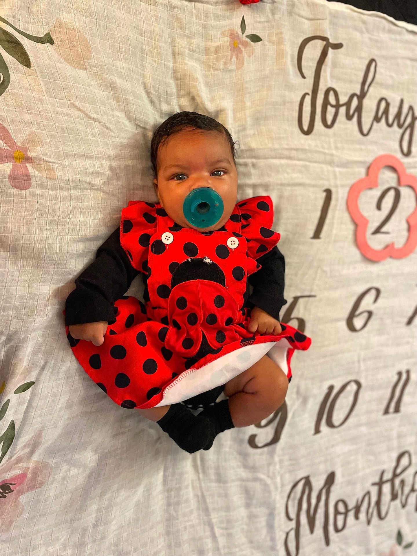 Kanova is registered to the contest to win money with this photo: baby, infant, pacifier, red_dress, ladybug_pattern, black_socks, blanket, floral_pattern, numbers, months_marker, cute, lying_down, indoors, child, portrait, clothing, baby_girl, soft_lighting, close_up, adorable