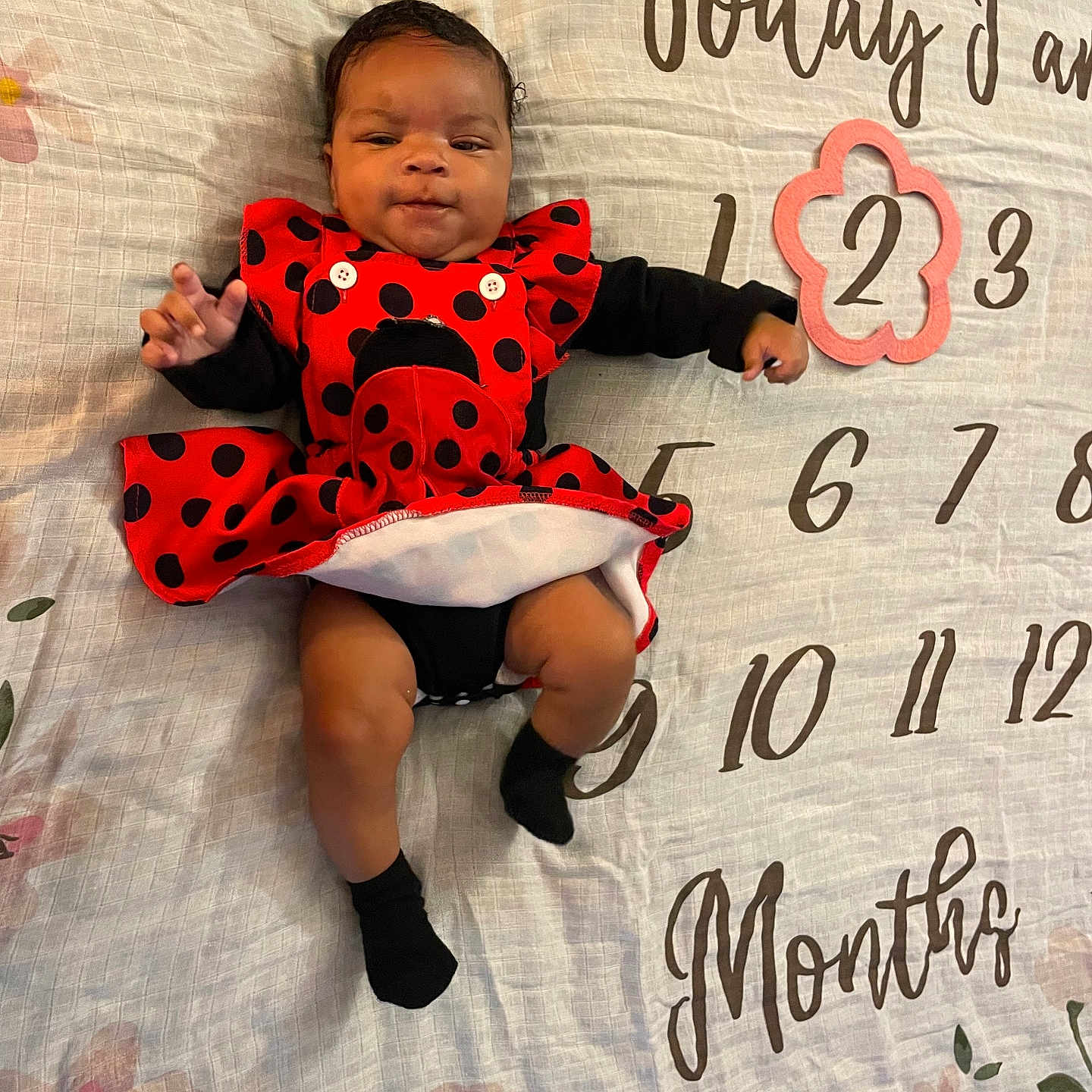 Kanova is registered to the contest to win money with this photo: baby, baby_clothing, black_socks, celebration, child, cute, fabric, growth_tracker, indoors, infant, ladybug_costume, lying_down, milestone_blanket, months_marker, pattern, person, polka_dots, portrait, red_dress, smiling