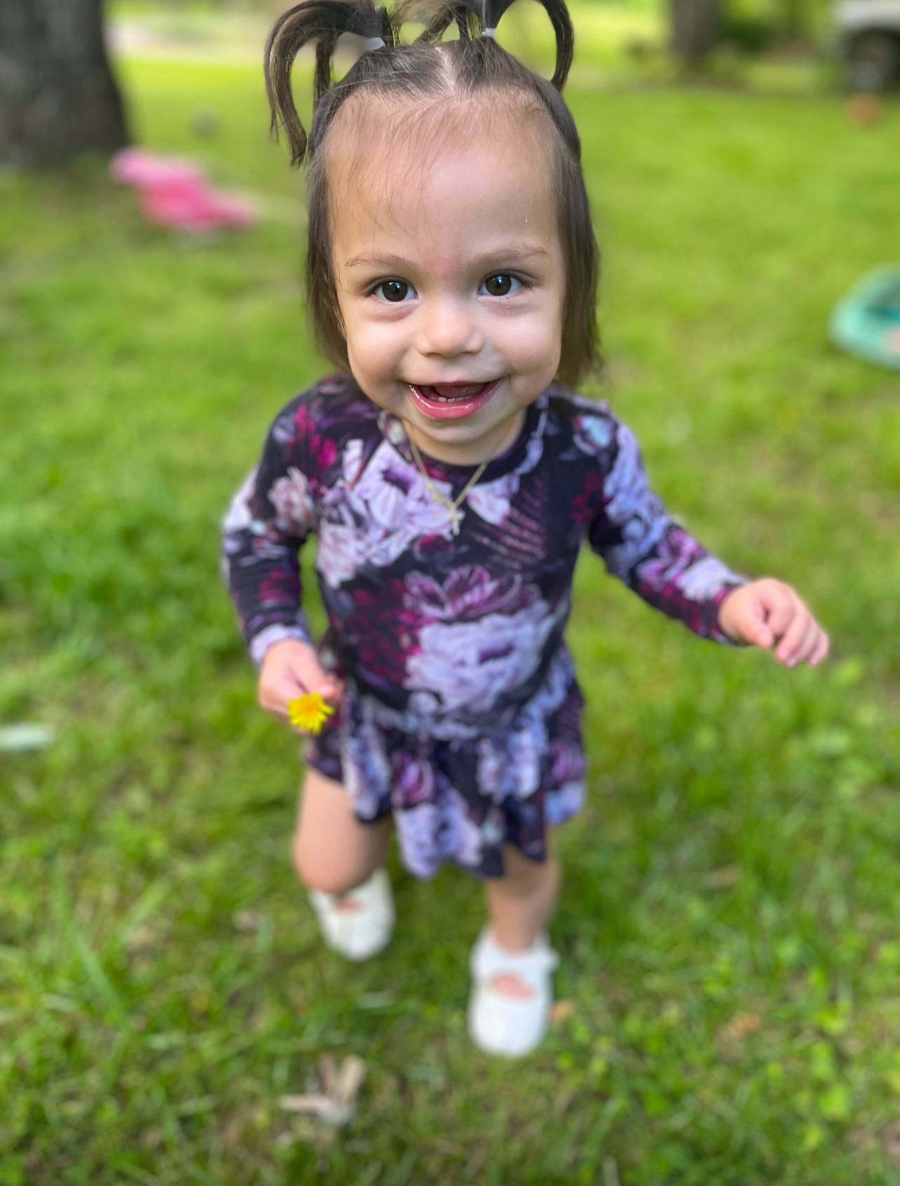 Amaya joined the competition — help win amazing prizes! baby_toddler_clothing, child, eye, face, fun, grass, grassland, hair, happy, head, iris, joy, lawn, leisure, people_in_nature, person, pink, plant, recreation, skin