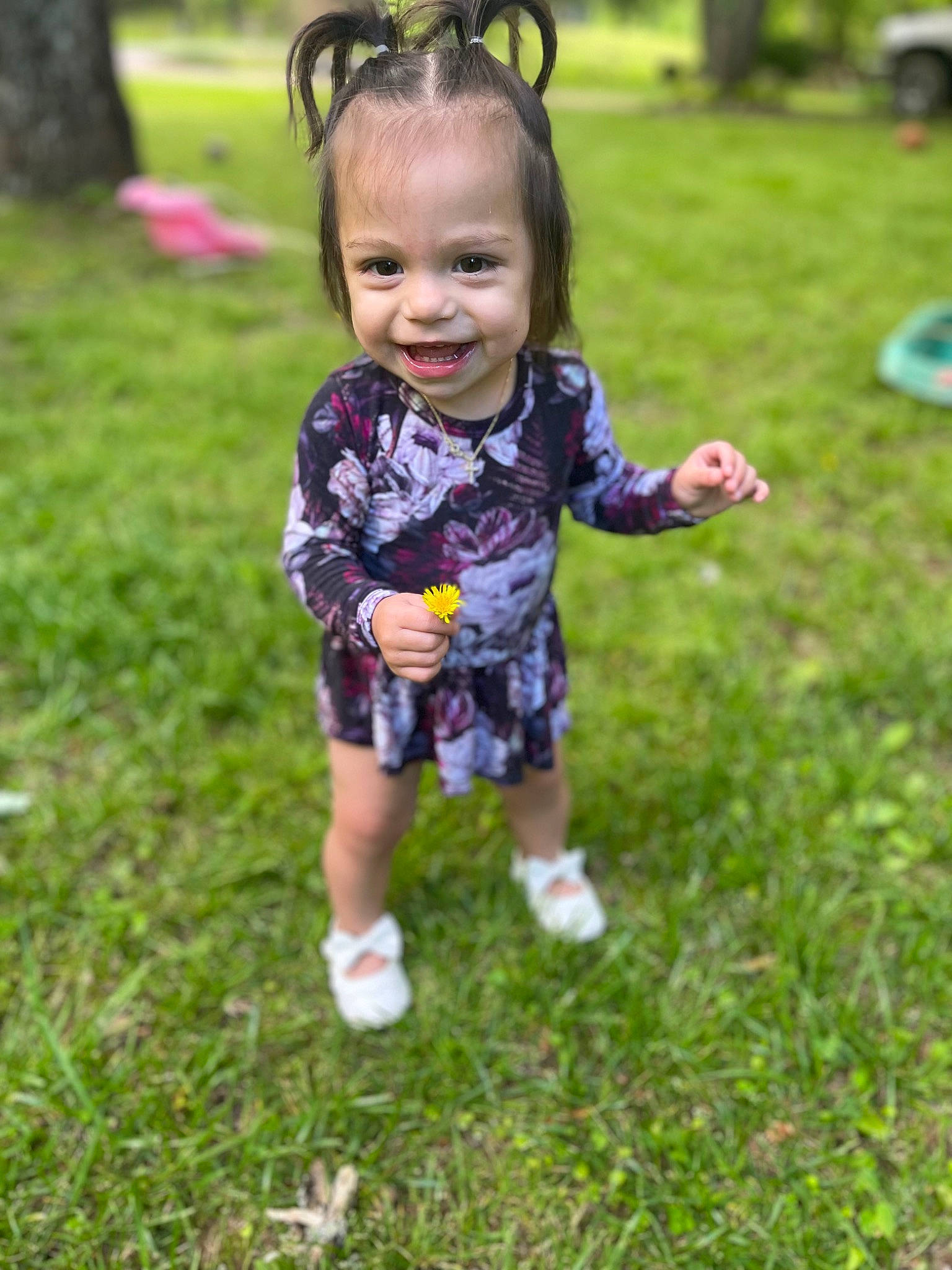 Amaya is registered to the contest to win money with this photo: baby, baby_toddler_clothing, child, event, eye, fun, gesture, grass, grass_family, grassland, hand, happy, joy, lawn, leisure, people_in_nature, person, plant, recreation, smile