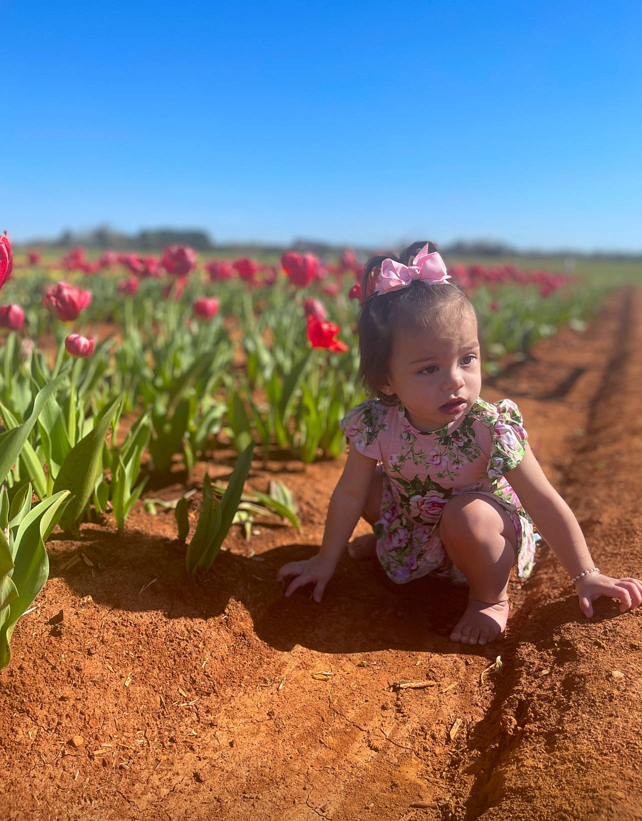 Amaya joined the competition — help win amazing prizes! agriculture, annual_plant, baby_toddler_clothing, field, flower, flowering_plant, grass, grassland, happy, hat, landscape, people_in_nature, person, petal, plant, prairie, sky, soil, spring, summer
