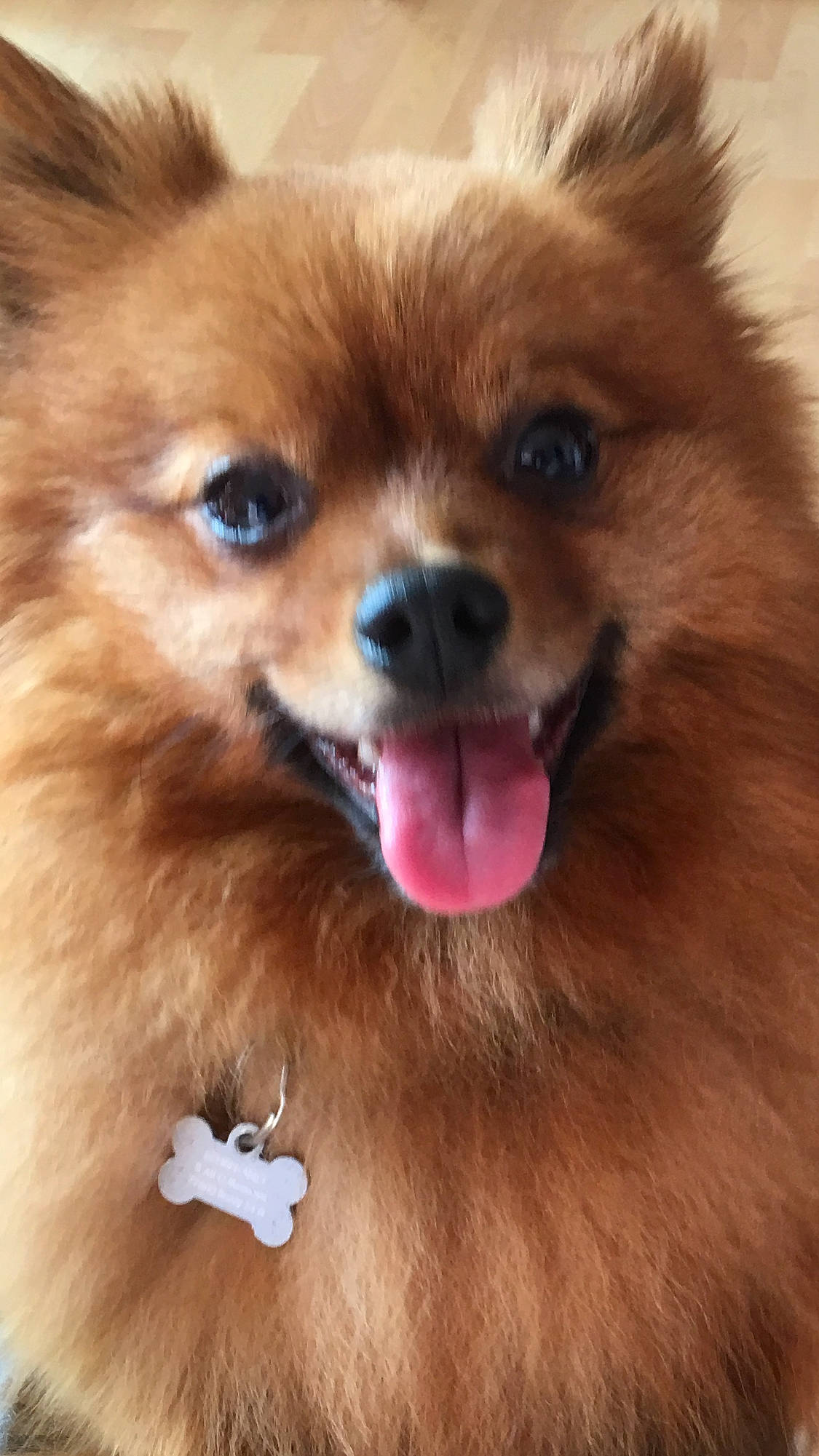 Simba