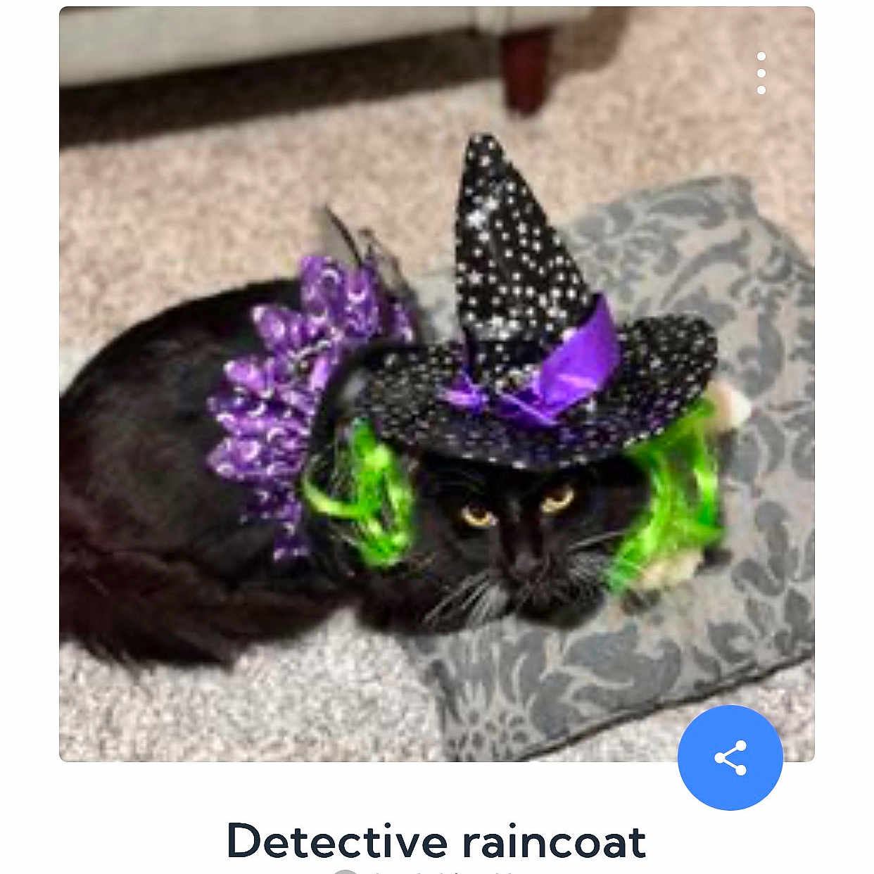 Detective Raincoat joined the competition — help win amazing prizes! animal, black_cat, black_fur, carpet, cat, close_up, costume, cushion, cute, dress_up, feline, green_highlights, halloween, indoor, pet, purple_collar, purple_ribbon, resting, witch_hat, yellow_eyes
