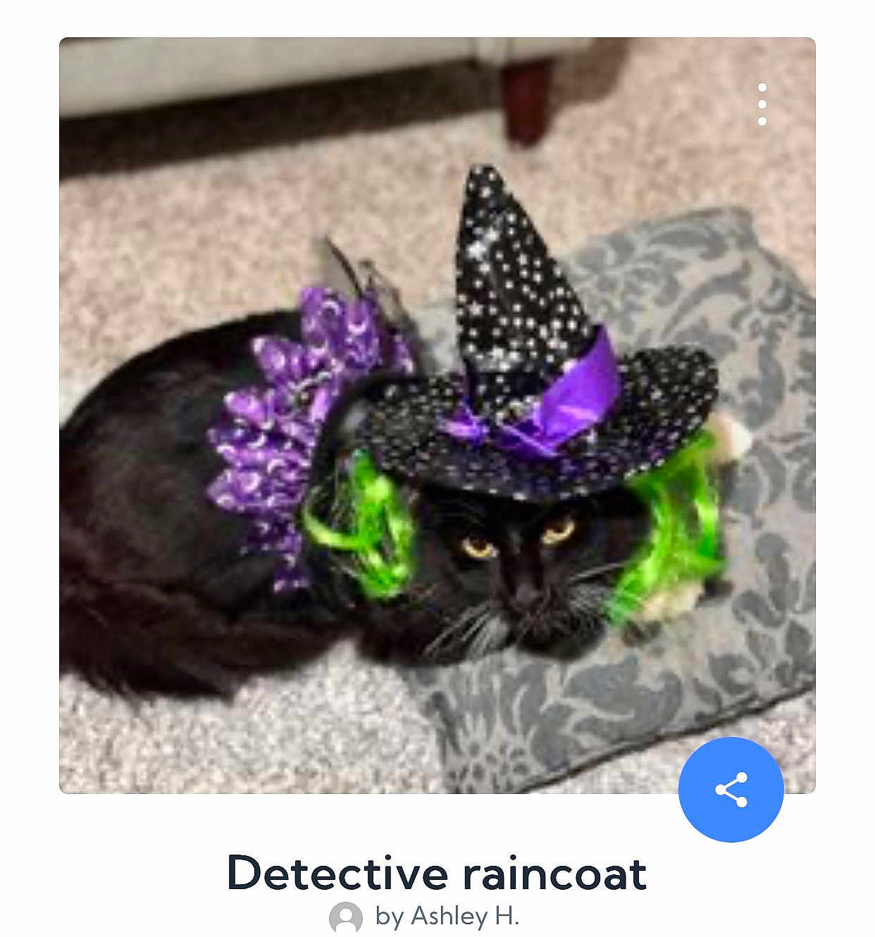 Detective Raincoat joined the competition — help win amazing prizes! animal, black_cat, black_fur, carpet, cat, close_up, costume, cushion, cute, dress_up, feline, green_highlights, halloween, indoor, pet, purple_collar, purple_ribbon, resting, witch_hat, yellow_eyes