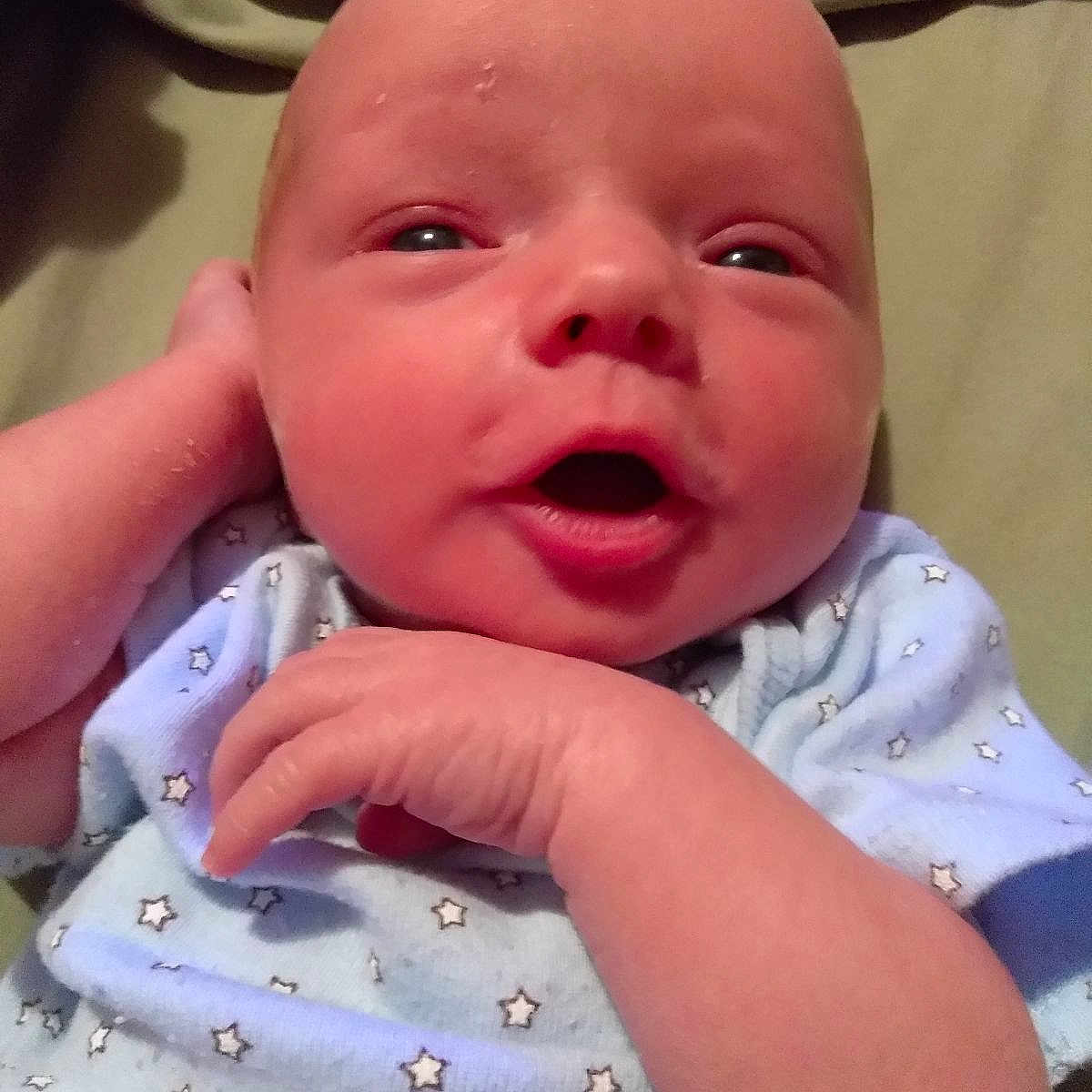 Buddy joined the competition — help win amazing prizes!