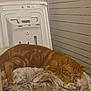 cat, ginger_cat, tabby, pet, blanket, washing_machine, laundry_room, indoor, resting, sleepy, fur, whiskers, cozy, appliance, home, orange_fur, fabric, relaxing, lying_down, furniture