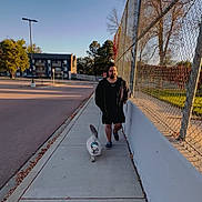 Loki is registered to the contest to win money with this photo: man, cat, sidewalk, leash, chain_link_fence, tree, building, street, walking, outdoor, daylight, casual, shadow, urban, pet, animal, leisure, walk, person, sunlight