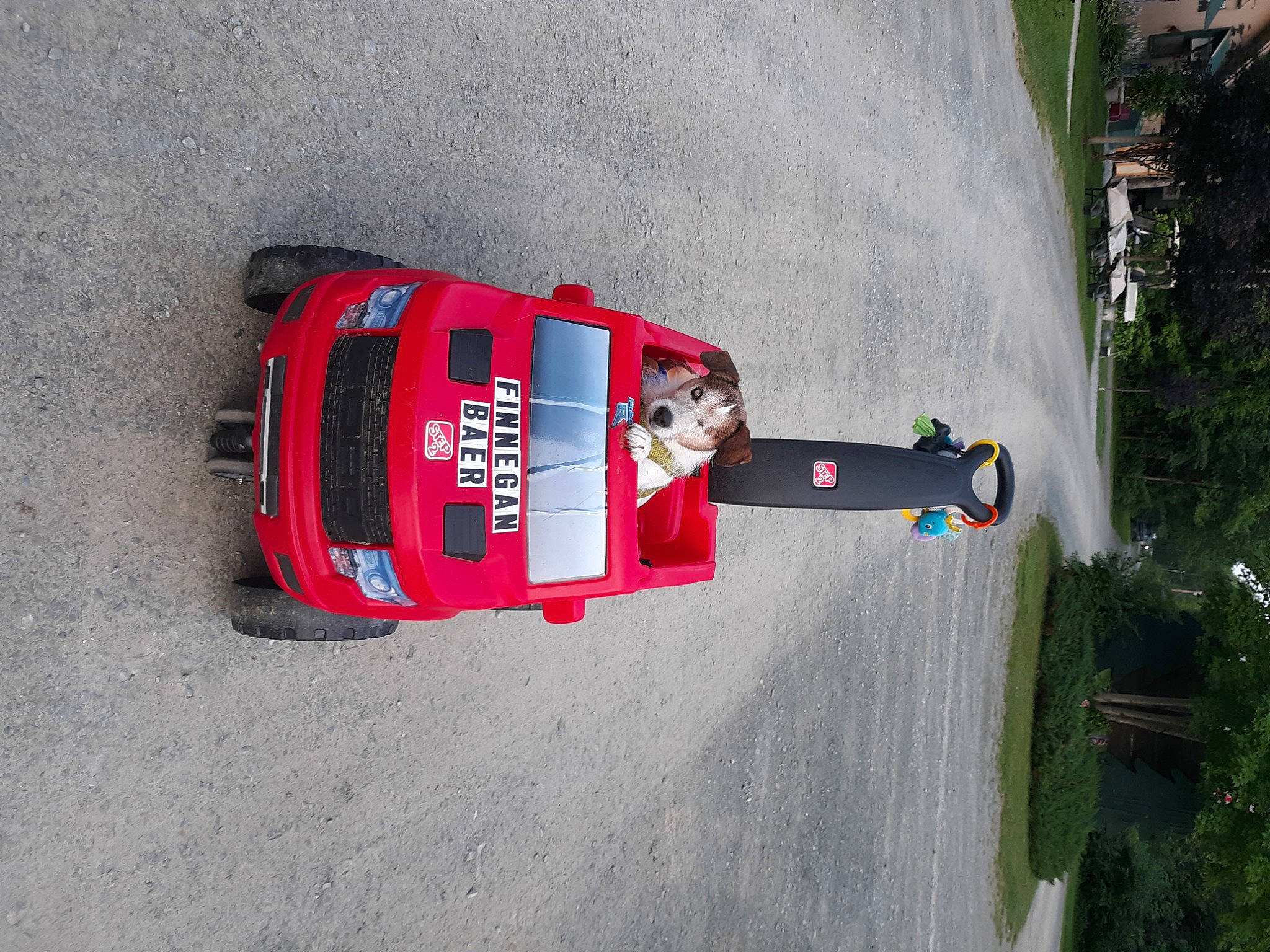 Finnegan Baer joined the competition — help win amazing prizes! asphalt, automotive_exterior, automotive_lighting, automotive_tail_brake_light, car, carmine, concrete, gas, motor_vehicle, plant, recreation, road, sidewalk, toy, transport, tree, vehicle, waste_container, window