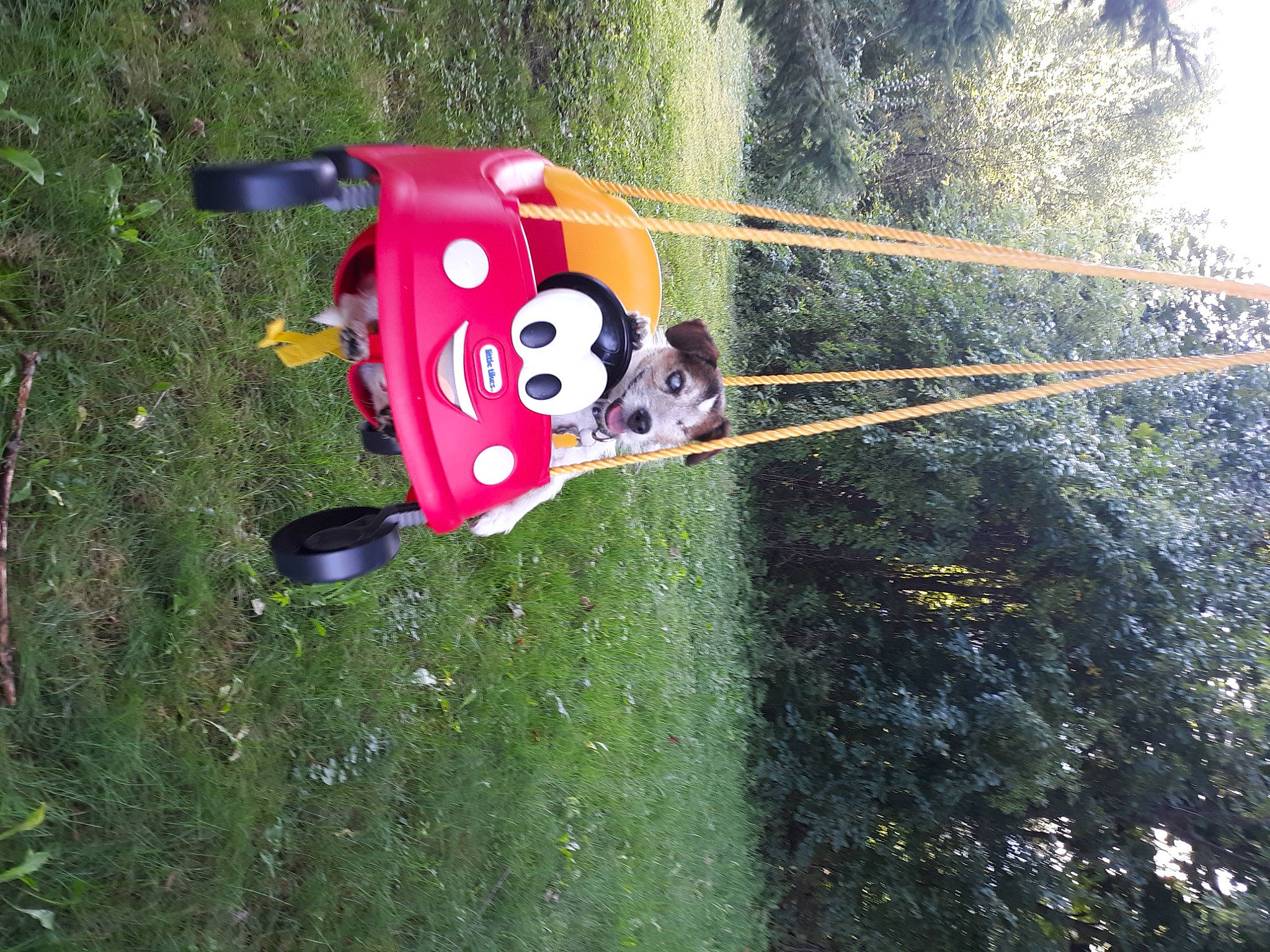 Finnegan Baer is registered to the contest to win money with this photo: adventure, art, biome, boats_and_boating_equipment_and_supplies, carmine, fun, garden, grass, landscape, lawn, lawn_ornament, leisure, outdoor_play_equipment, plant, pole, recreation, toy, tree, vehicle, yard