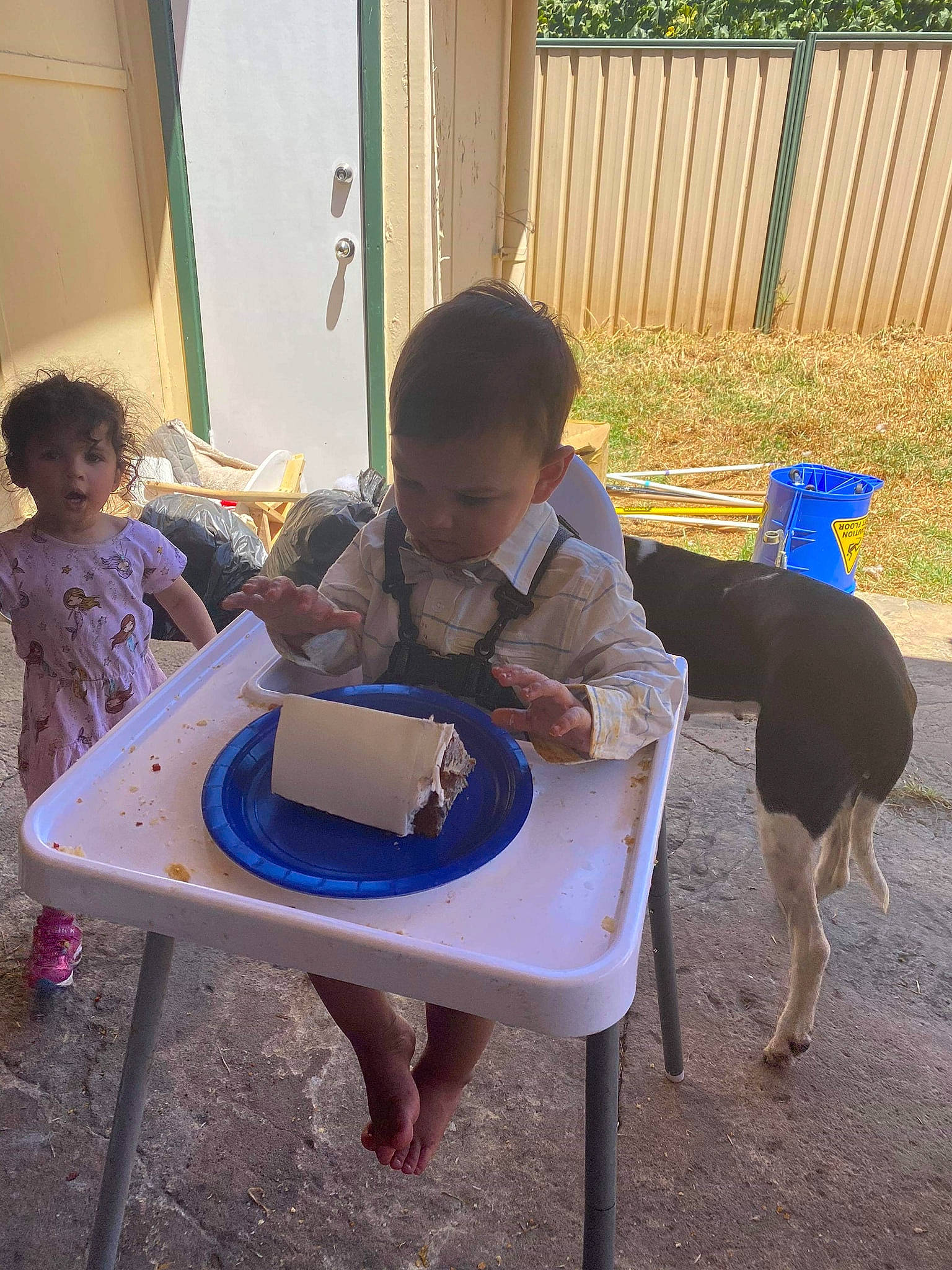 Taj is registered to the contest to win money with this photo: adaptation, canidae, child, leisure, person, play, sharing, sitting, summer, table, toddler, vacation