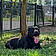 Lavina