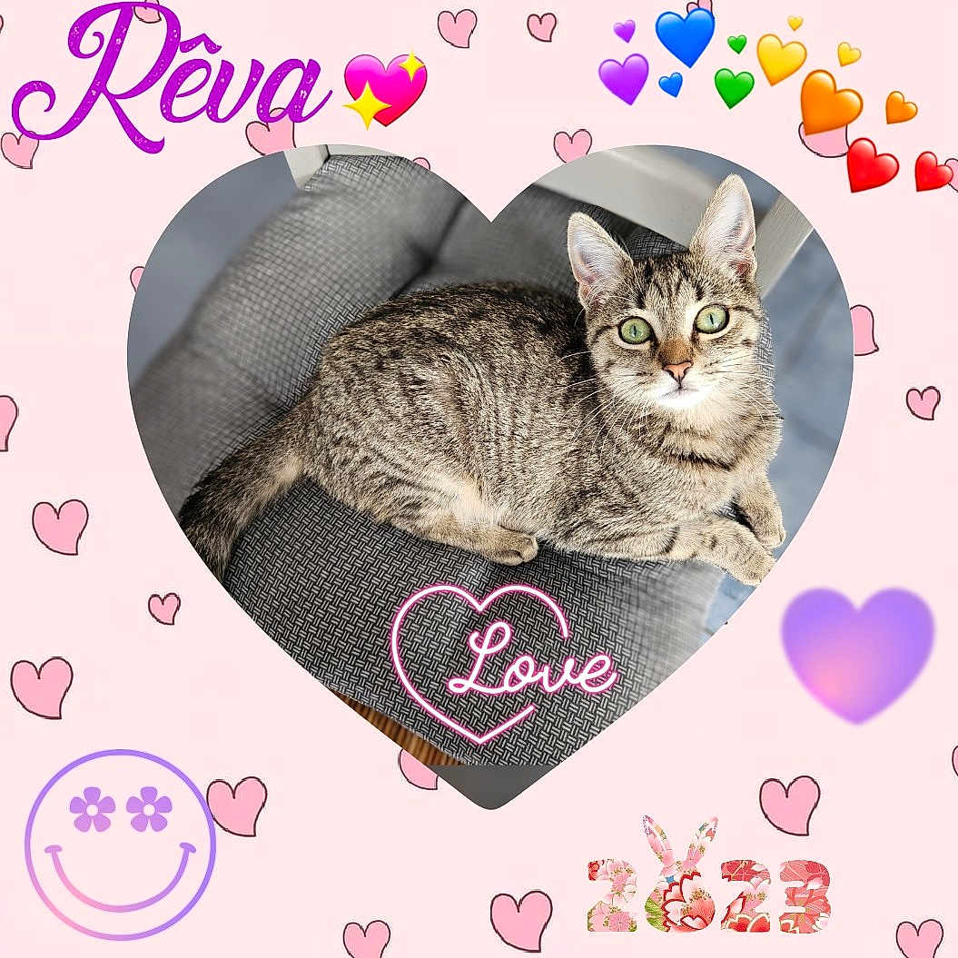 Rêva