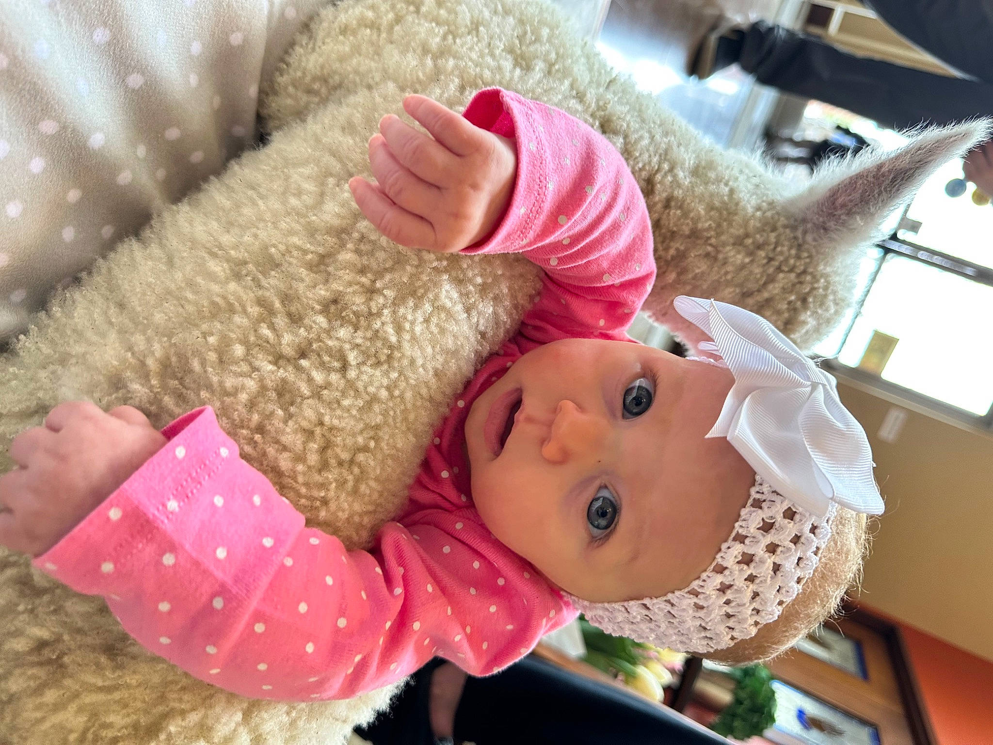 Elizabella is registered to the contest to win money with this photo: baby, baby_products, baby_toddler_clothing, baby_toys, child, comfort, doll, fur, headwear, linens, mammal, nail, pattern, person, pink, plush, room, stuffed_toy, textile, toy