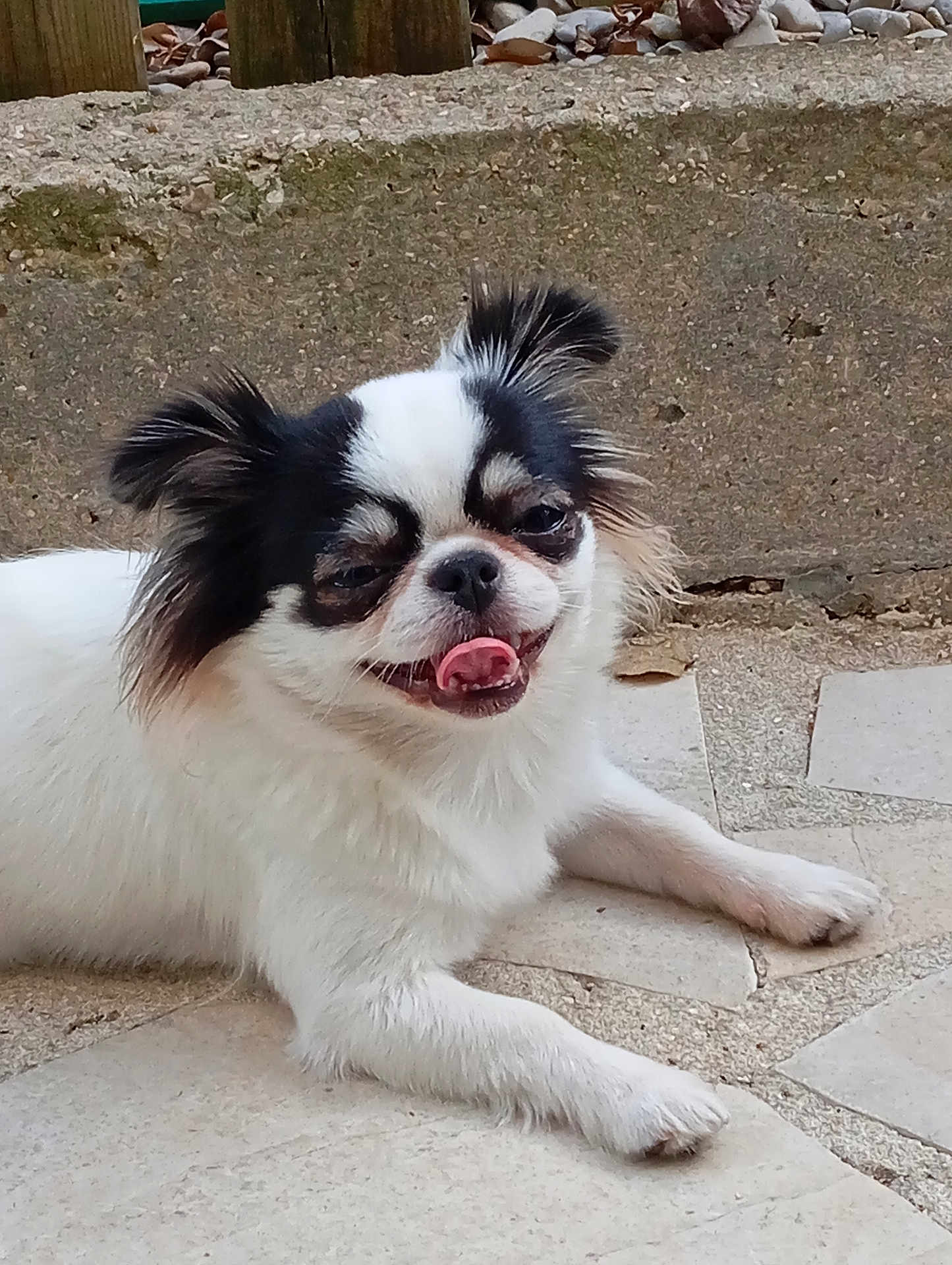 Luna