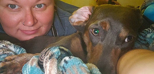 William is registered to the contest to win money with this photo: black, brown, carnivore, cheek, comfort, dog, dog_breed, finger, interaction, iris, mammal, nail, organ, sharing, sitting, skin, snout, thumb, vertebrate, working_animal