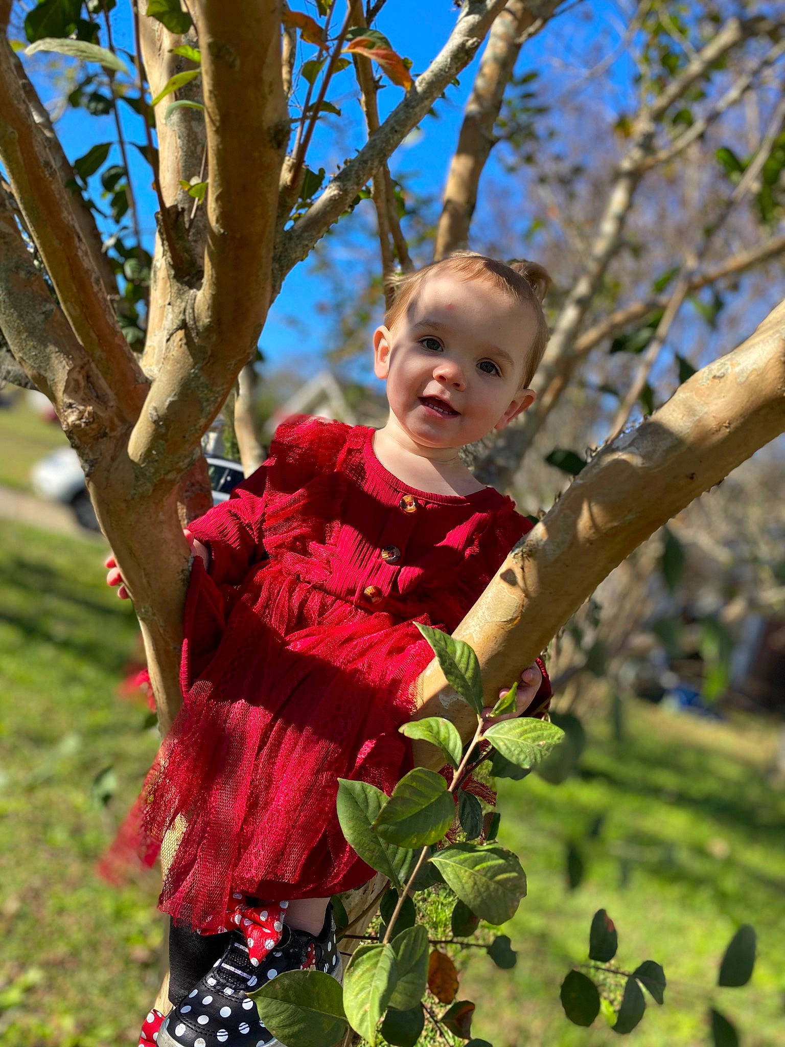 Rosabella joined the competition — help win amazing prizes! autumn, baby, botany, child, flowering_plant, fruit, fun, grass, hand, happy, leaf, leisure, people_in_nature, person, plant, sky, toddler, tree, trunk, twig