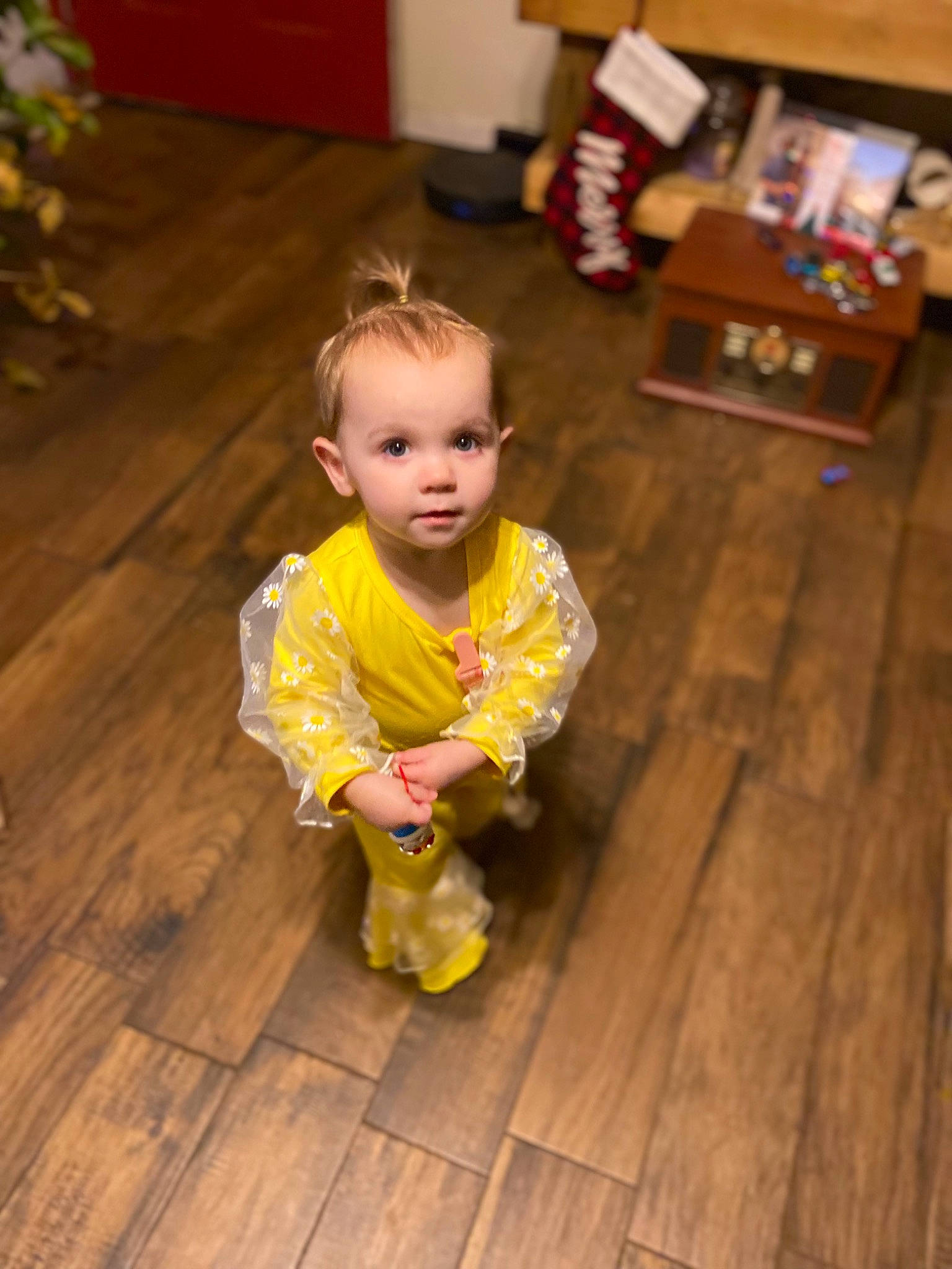 Rosabella joined the competition — help win amazing prizes! baby, baby_toddler_clothing, child, facial_expression, floor, flooring, fun, grass, happy, hardwood, iris, laminate_flooring, person, plank, skin, standing, toddler, varnish, wood, wood_flooring