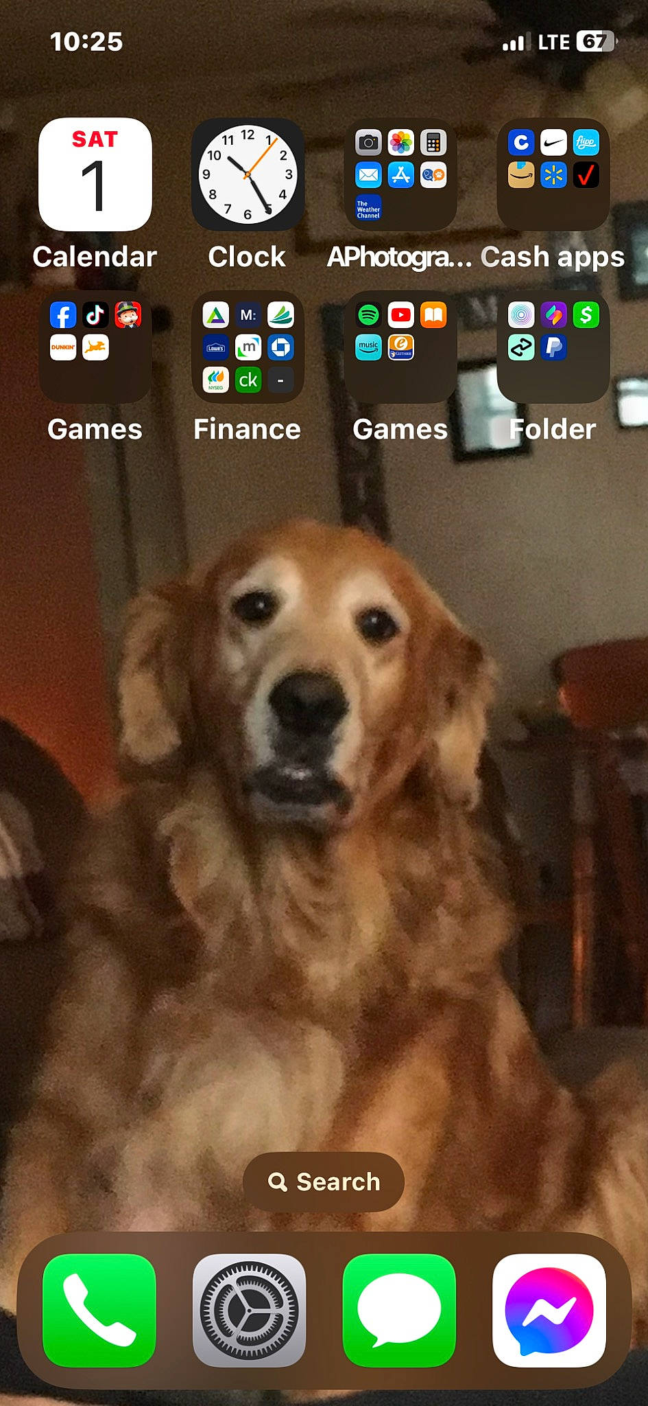 Jax joined the competition — help win amazing prizes! canidae, carnivore, clock, communication_device, companion_dog, dog, dog_breed, event, font, fur, gadget, golden_retriever, gun_dog, liver, multimedia, photo_caption, portable_communications_device, screenshot, snout, sporting_group