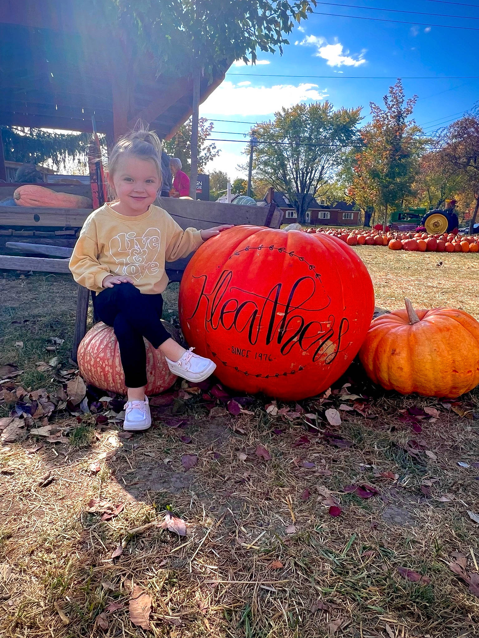 Amaris joined the competition — help win amazing prizes! calabaza, cloud, cucurbita, food, gourd, grass, happy, joy, morning, orange, people, people_in_nature, person, plant, pumpkin, sky, squash, tints_and_shades, tree, vegetable