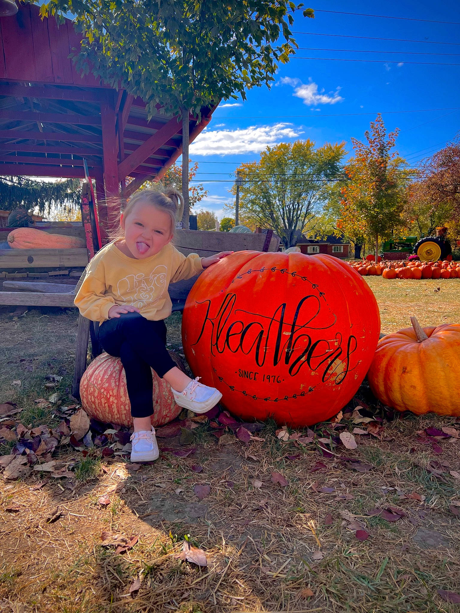 Amaris is registered to the contest to win money with this photo: calabaza, cloud, cucurbita, gourd, grass, happy, landscape, leisure, morning, orange, people_in_nature, person, plant, pumpkin, shorts, sky, squash, tints_and_shades, tree, vegetable