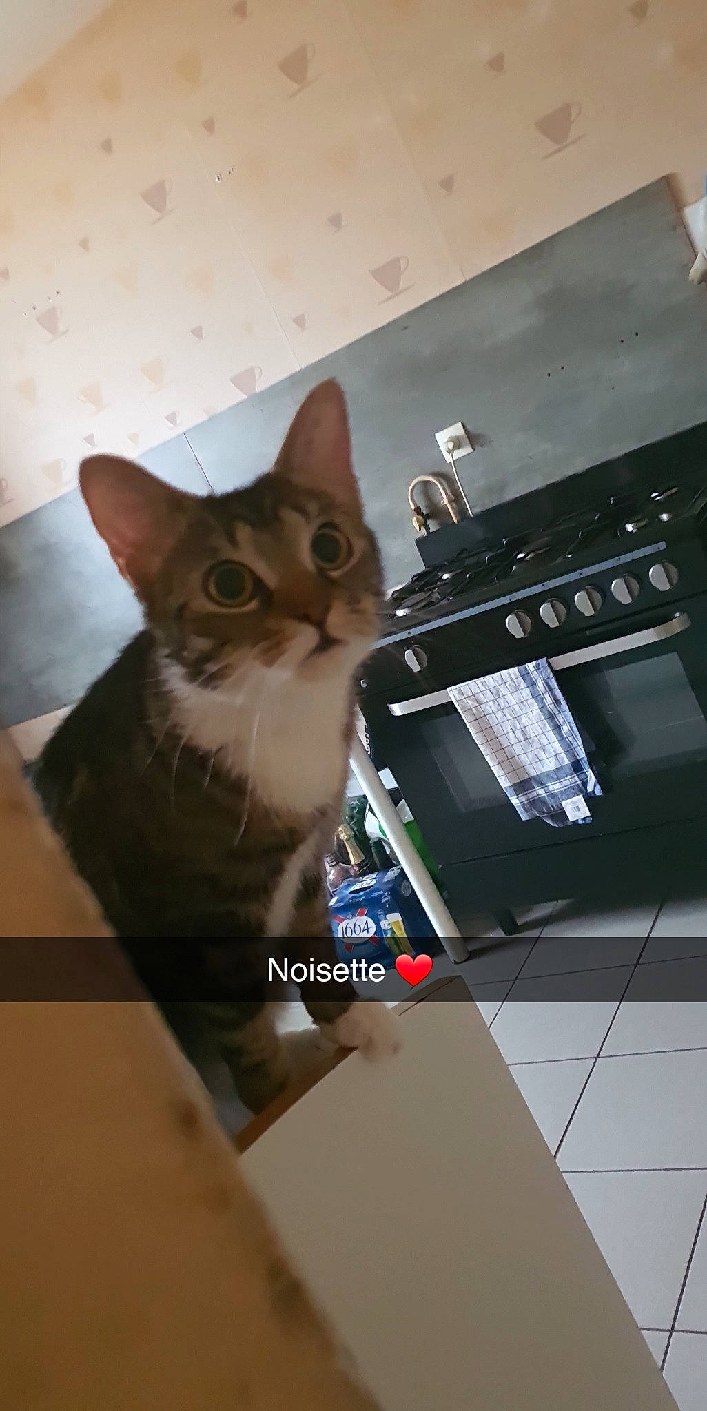 Noisette