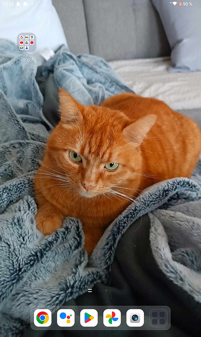 Tigrou