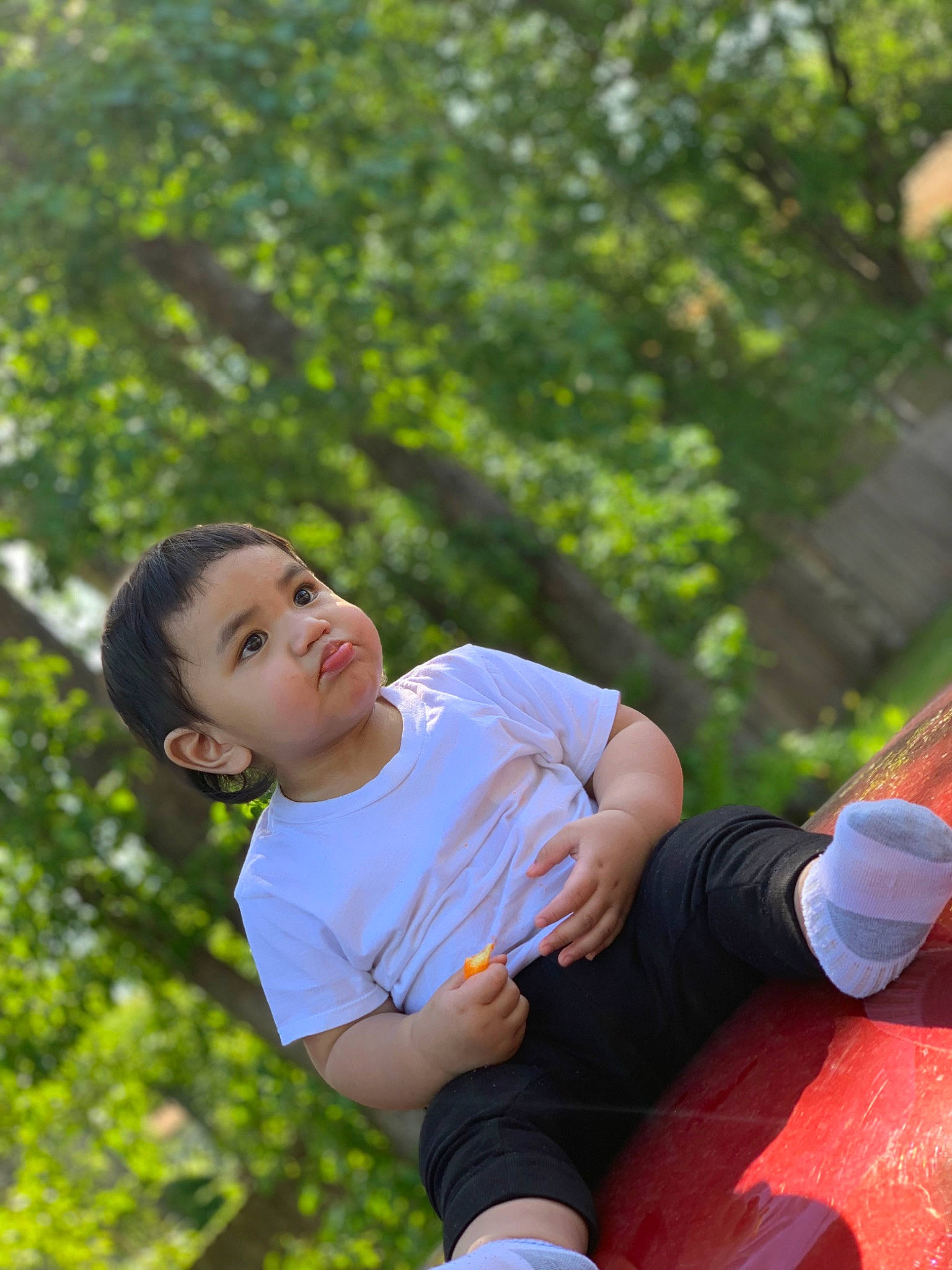 Ben Dennis Siaosi is registered to the contest to win money with this photo: child, flash_photography, fun, grass, happy, human_leg, leaf, leisure, people_in_nature, person, plant, play, portrait_photography, recreation, shorts, sitting, t_shirt, thigh, toddler, tree