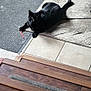 animal, black_cat, cat, cozy, curious, domestic_animal, feline, flooring, home_interior, indoor, looking, pet, playful, red_string, relaxed, resting, rug, tile_floor, toy, wooden_steps