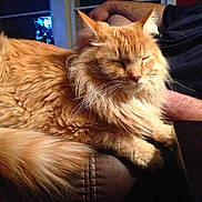 Dexter joined the competition — help win amazing prizes!