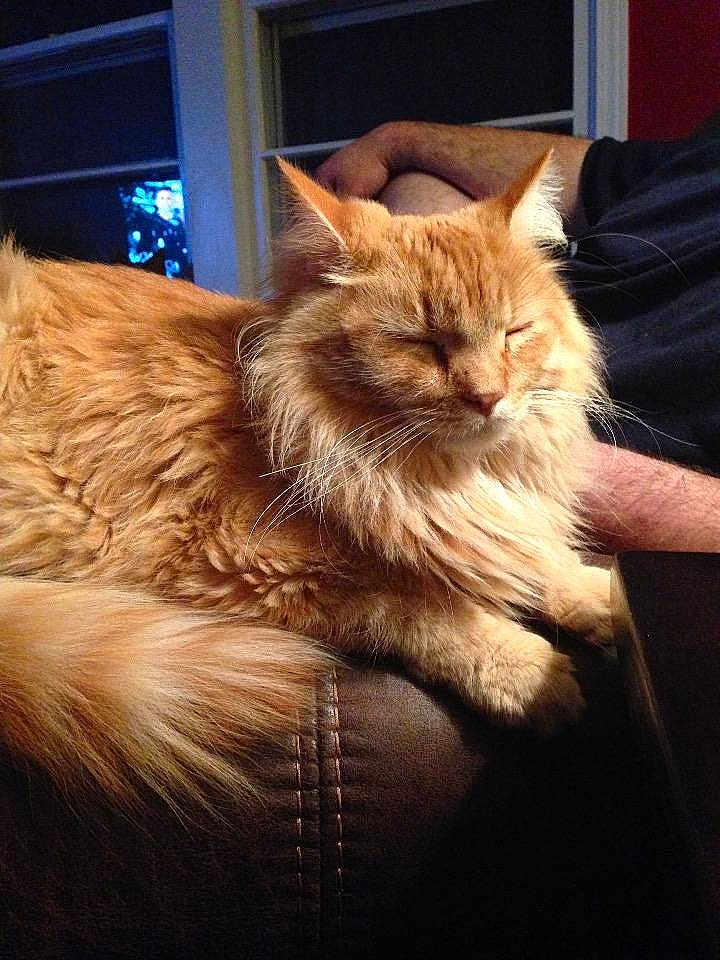 Dexter