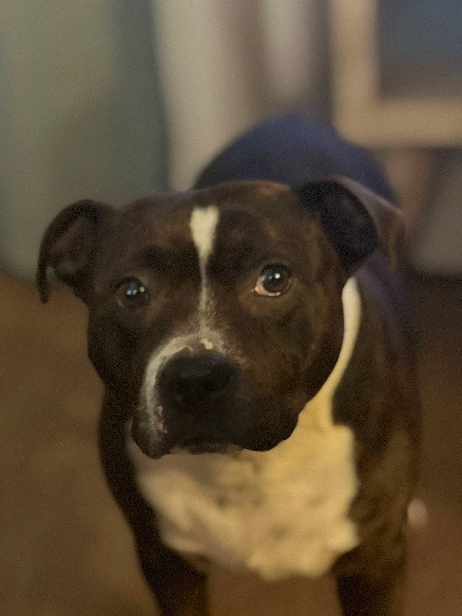 Naya