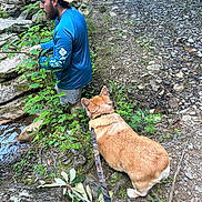 Bubby joined the competition — help win amazing prizes! man, dog, corgi, fishing, blue_shirt, cap, leash, rocky_path, creek, outdoor, nature, greenery, plants, water, rocks, beard, shorts, walking, pet, recreation