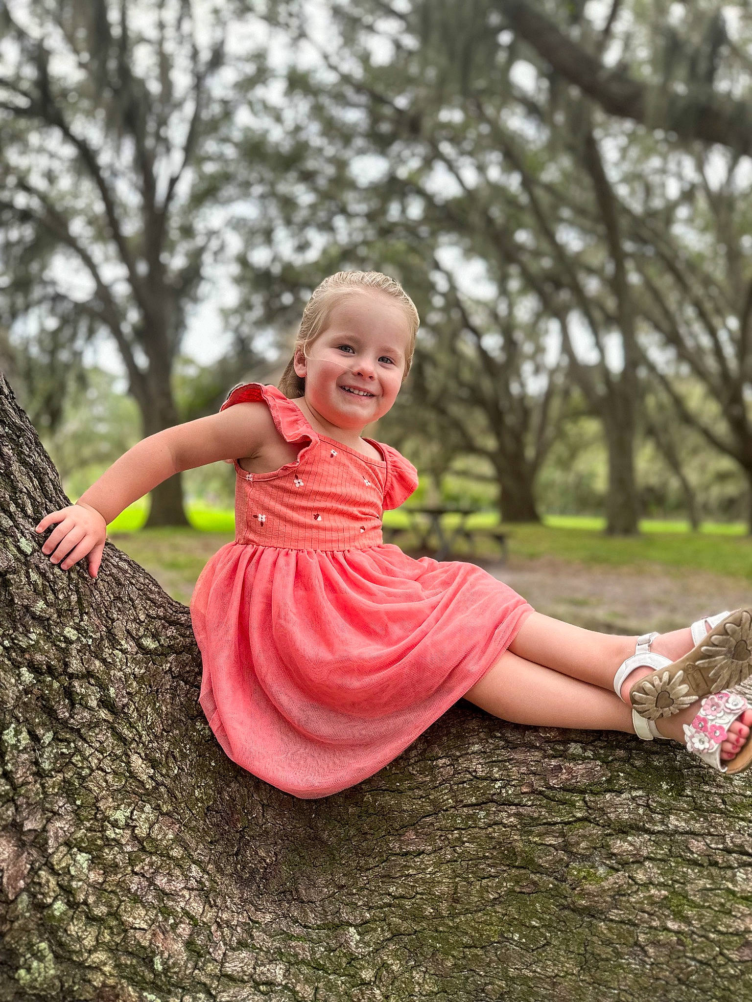 Lilly joined the competition — help win amazing prizes! baby_toddler_clothing, blond, child, flash_photography, fun, grass, happy, joy, leisure, magenta, people_in_nature, person, pink, plant, recreation, sitting, sky, smile, spring, toddler