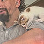 Clyde is registered to the contest to win money with this photo: man, kitten, cat, pet, shoulder, beard, curly_hair, grey_shirt, indoor, closeup, cute, animal, companion, snuggle, young_cat, casual, portrait, human, affection, feline