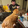 Cinnamon is registered to the contest to win money with this photo: man, dog, golden_retriever, black_dog, living_room, coffee_table, mug, soda_can, papers, cardboard_box, carpet, window_blinds, blanket, toy, casual_clothing, beard, smiling, indoor, interaction, joy