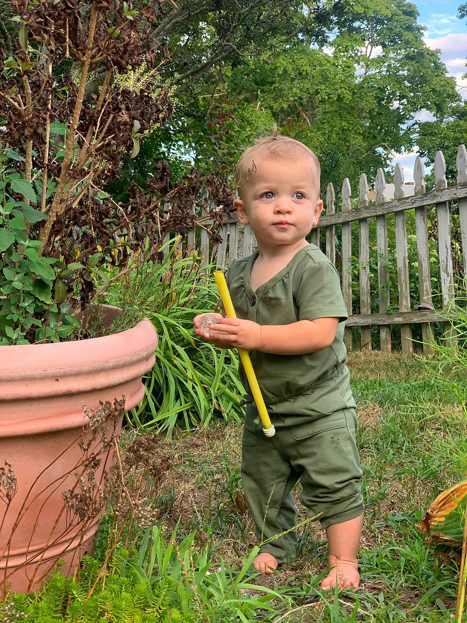 Eliana is registered to the contest to win money with this photo: botany, child, fence, flowerpot, fun, garden, grass, grass_family, groundcover, landscaping, lawn, leaf, leisure, people_in_nature, person, plant, shrub, t_shirt, terrestrial_plant, toddler