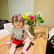 Ayhan Sharifi is registered to the contest to win money with this photo: child, toddler, curly_hair, portrait, sitting, dining_table, flowers, bouquet, indoors, home, chair, wooden_table, red_shorts, gray_shirt, bare_feet, looking_at_camera, colorful, emoji, furniture, family_photo