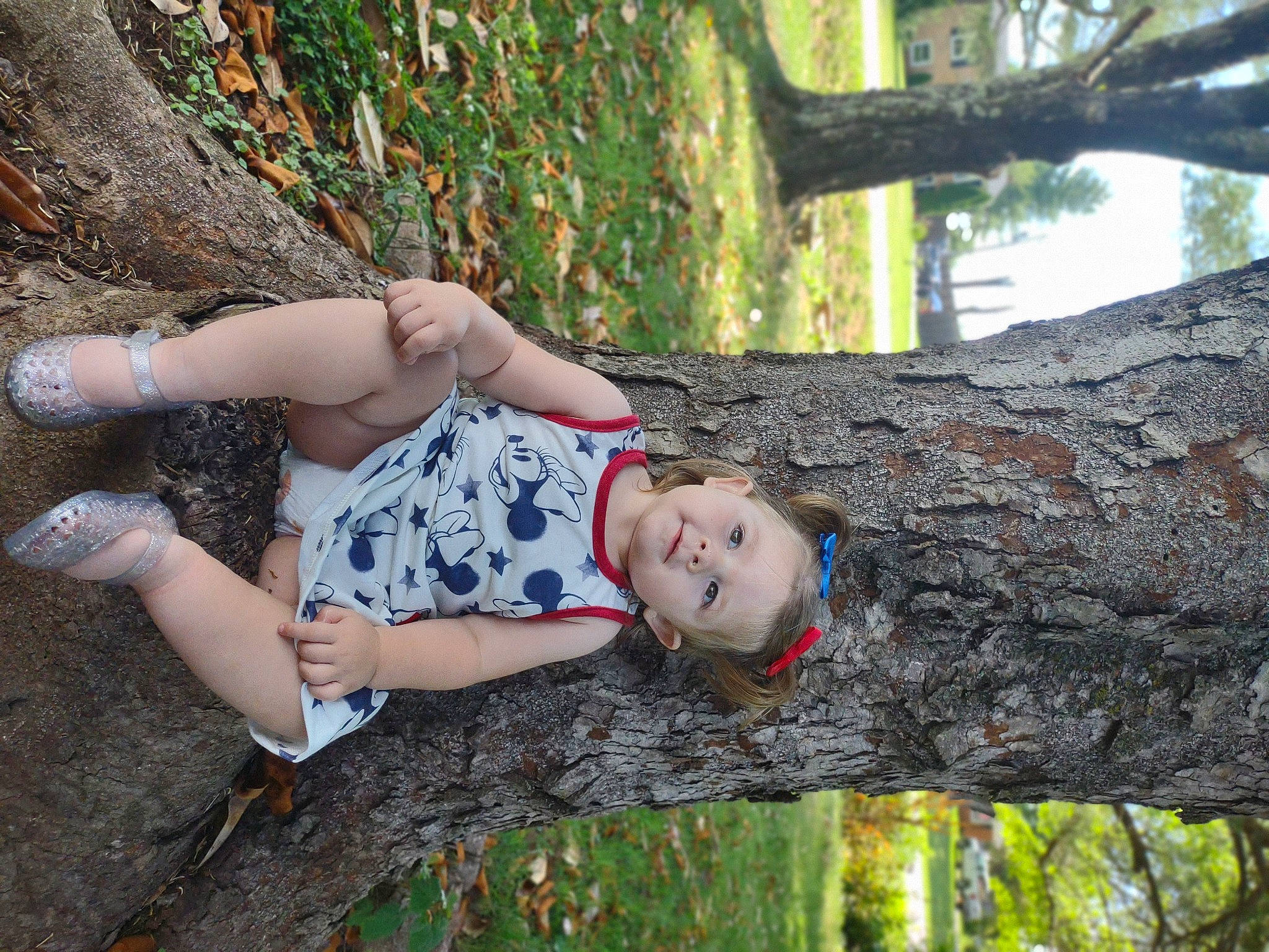 Mackenzie is registered to the contest to win money with this photo: forest, fun, grass, happy, human_leg, knee, leaf, leisure, people_in_nature, person, plant, recreation, sitting, smile, thigh, tree, trunk, wood, woodland, woody_plant
